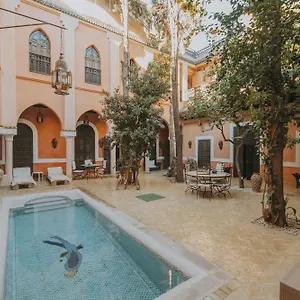 Le Perroquet Bleu & *** Marrakesh